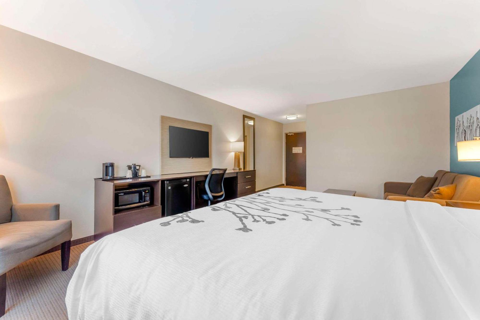Sleep & 3* Cumberland