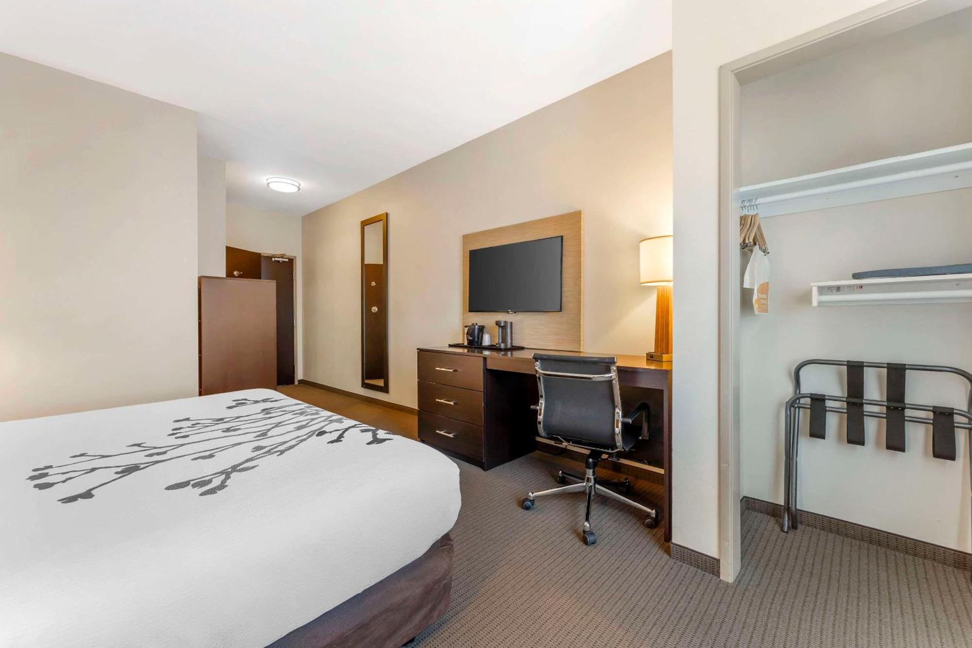 Sleep & 3* Cumberland
